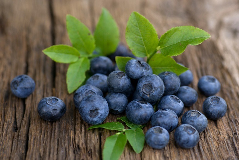 蓝莓提取物